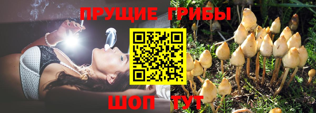 Псилоцибиновые грибы ЛСД  Вход с VPN  Орёл 